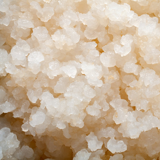 What is Water Kefir?