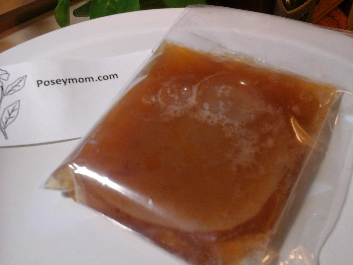Live Kombucha Scoby with 1/2 Cup of Tea