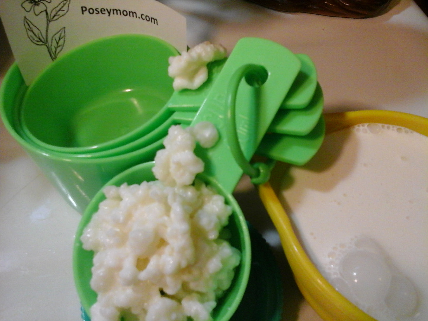 Live Milk Kefir Grains