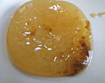 Poseymom Probiatic  Kombucha Scoby one Cup of Strong Starter Tea